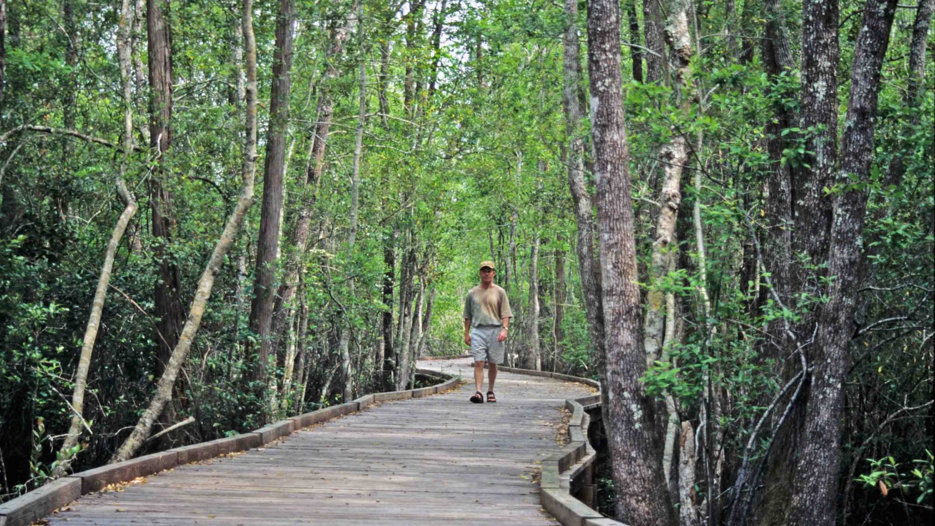 A man walks on a boardwalk.