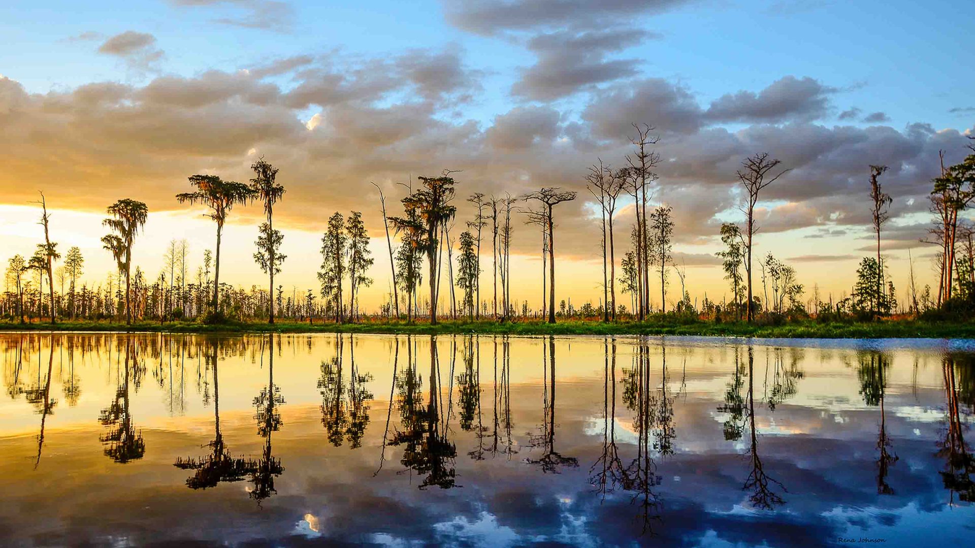 Trees silhouetted against a sunset sky are reflected in the water.
