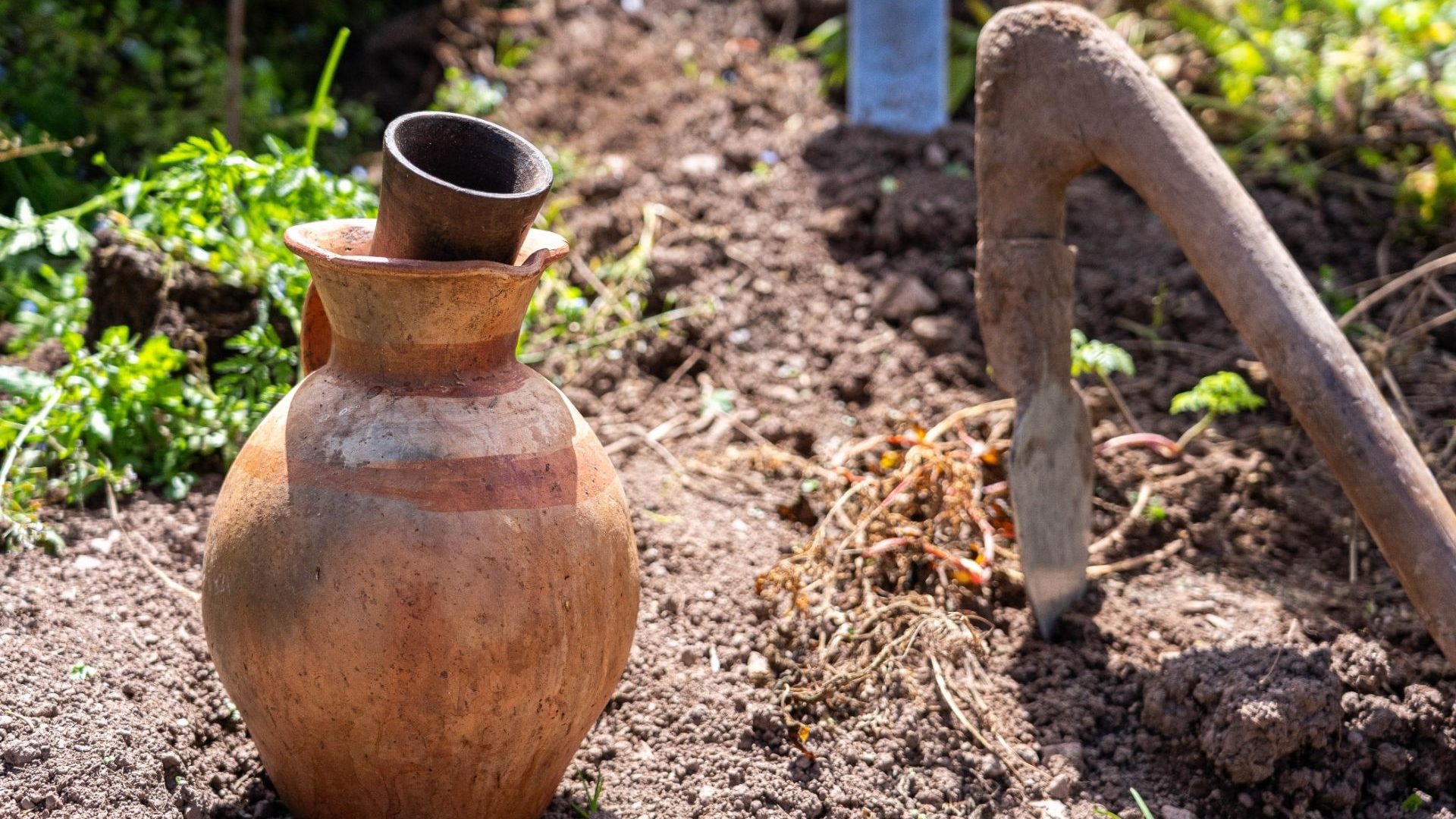 An urn of fermented corn chicha (fruity beer) and a chakitaqlla, a traditional spade made from three bound pieces of wood and tipped with a narrow length of metal.
