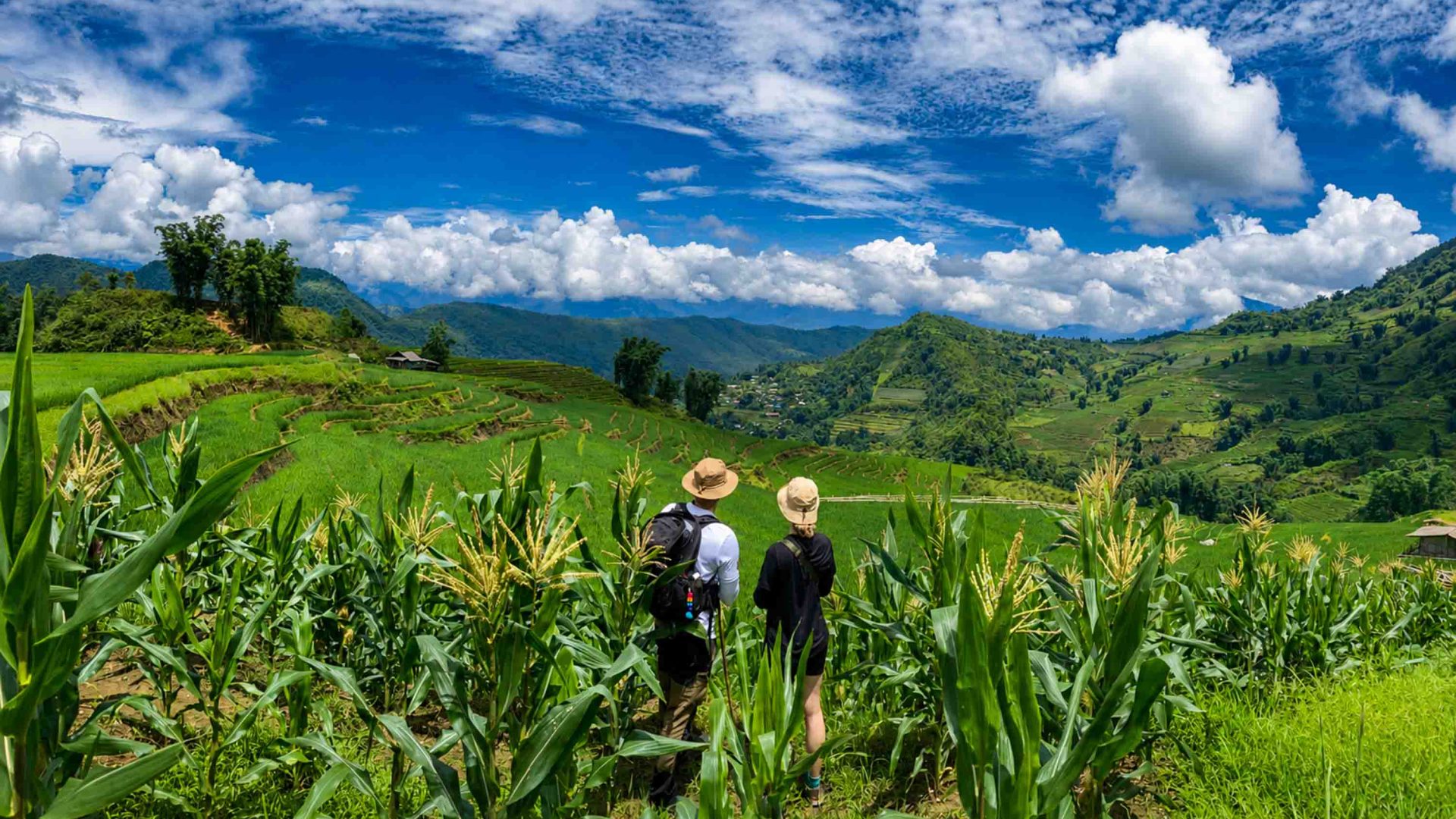 Travelers look out at the scenery. They are seen from behind.
