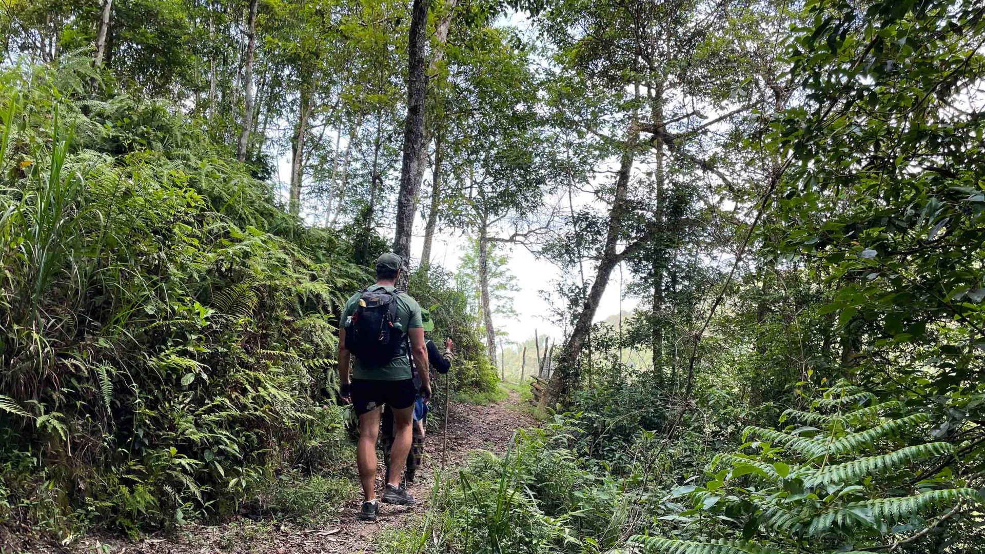 A man is led through forests with a local guide.