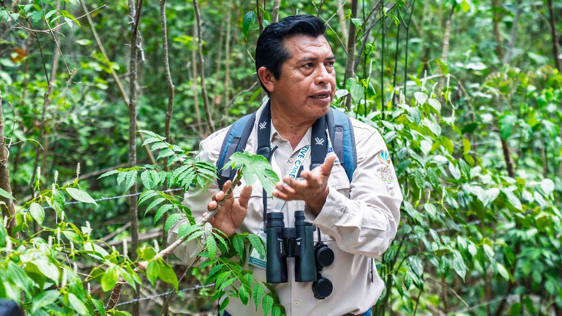 A man holds and talks about some leaves on a tree.