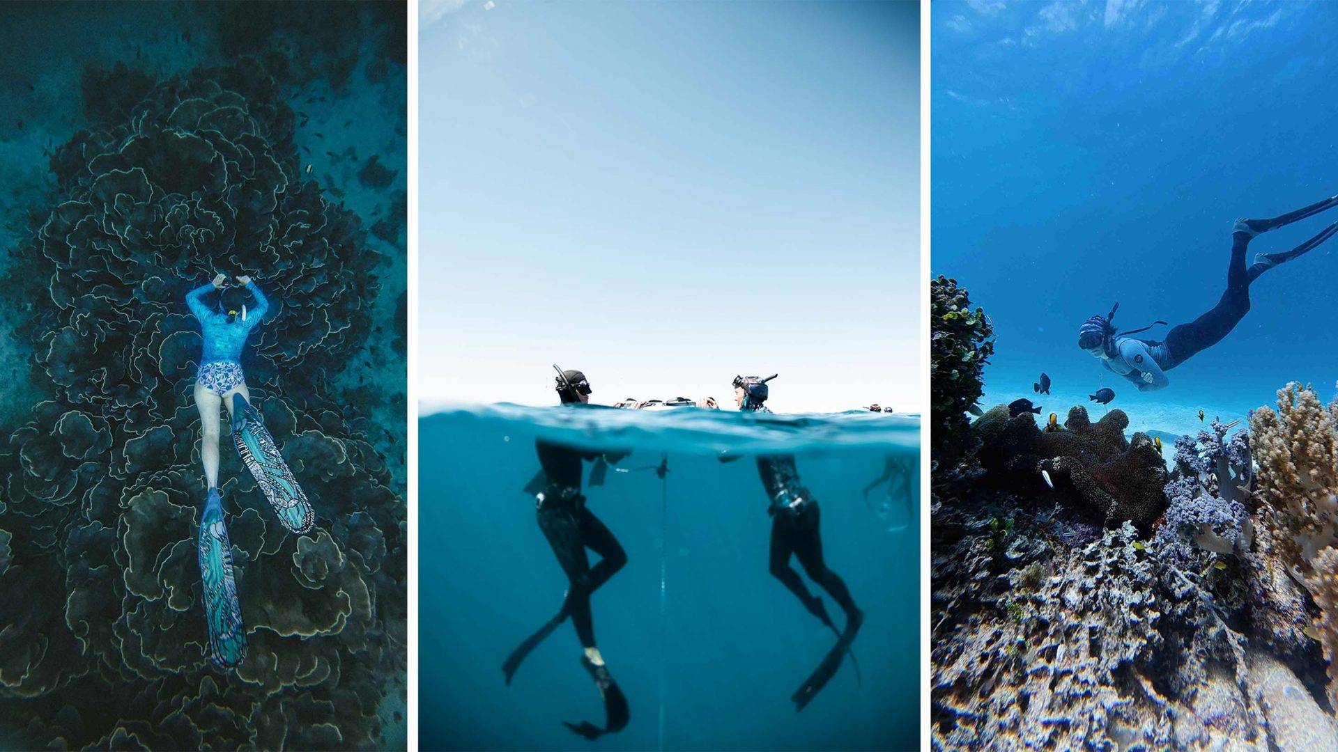 Three photos of people freediving. Tne first shows a person swimming over coral. The second, two people talking at the surface of the sea. The third shows a woman diving above colourful coral.