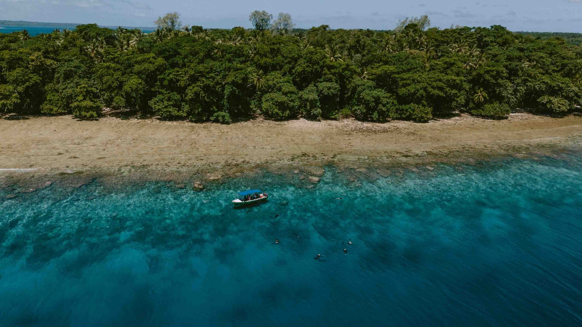 A drone photo of trees, shoreline and blue water. There is one boat and several people nearby in the water.