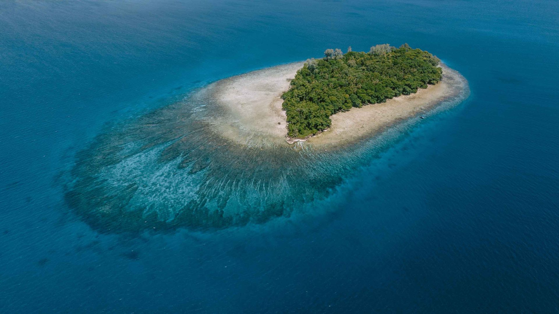 An aerial photo of a small island with sand and trees, surrounded by clear blue waters.