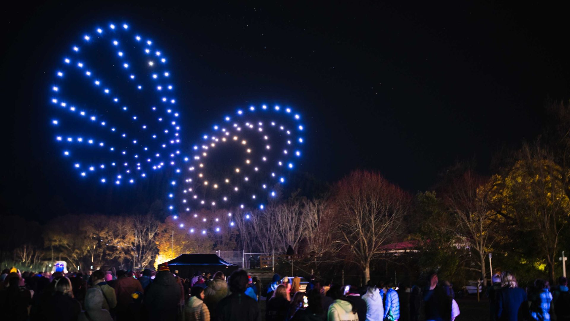 Night sky lit up with blue and white drone fireworks, with a crowd of people watching. Trees and festival tents are visible below, creating a festive outdoor event atmosphere in Dunedin.