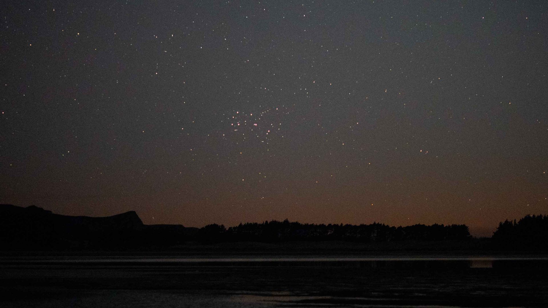 A starry sky above silhouetted trees.