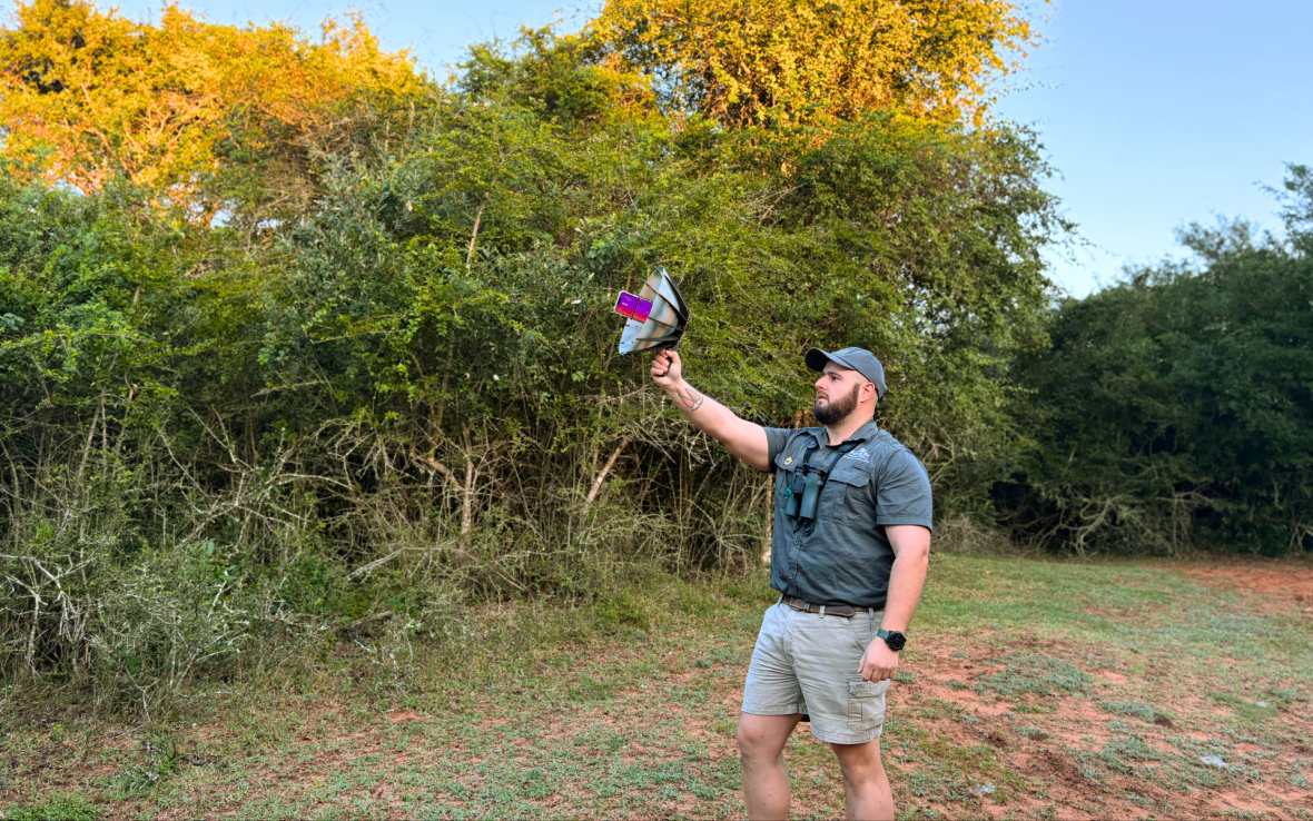Why are thousands of African bird species missing from sound libraries? And what’s being done about it?