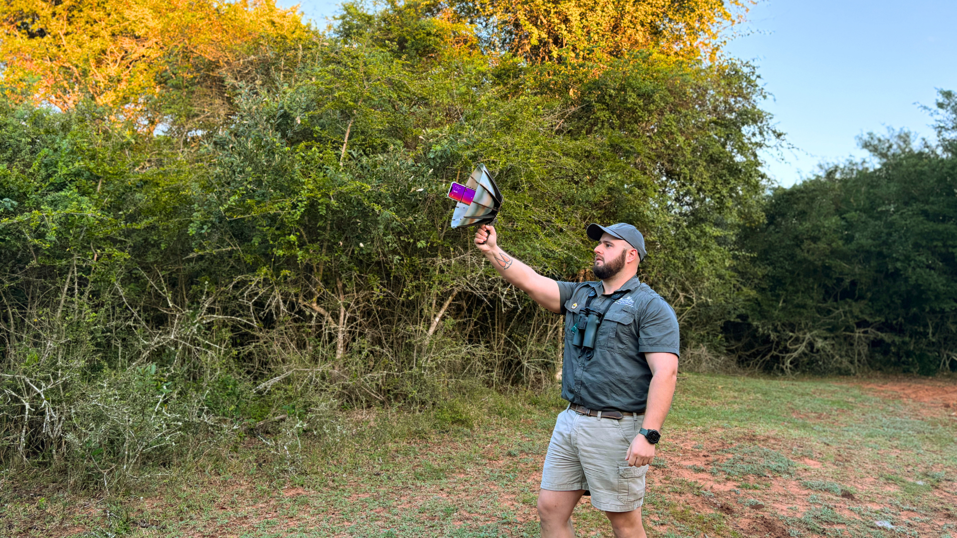 Why are thousands of African bird species missing from sound libraries? And what’s being done about it?