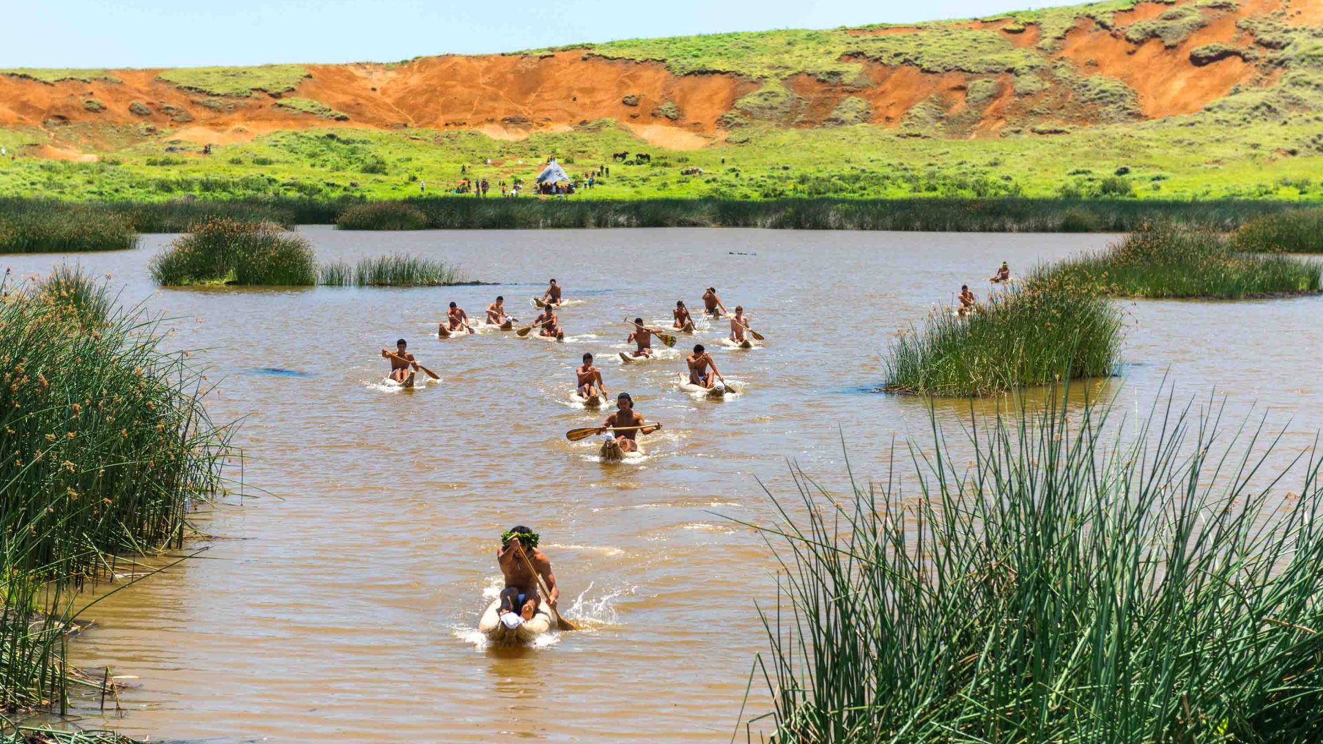 A number of Indigenous people row through a lagoon in a competition.