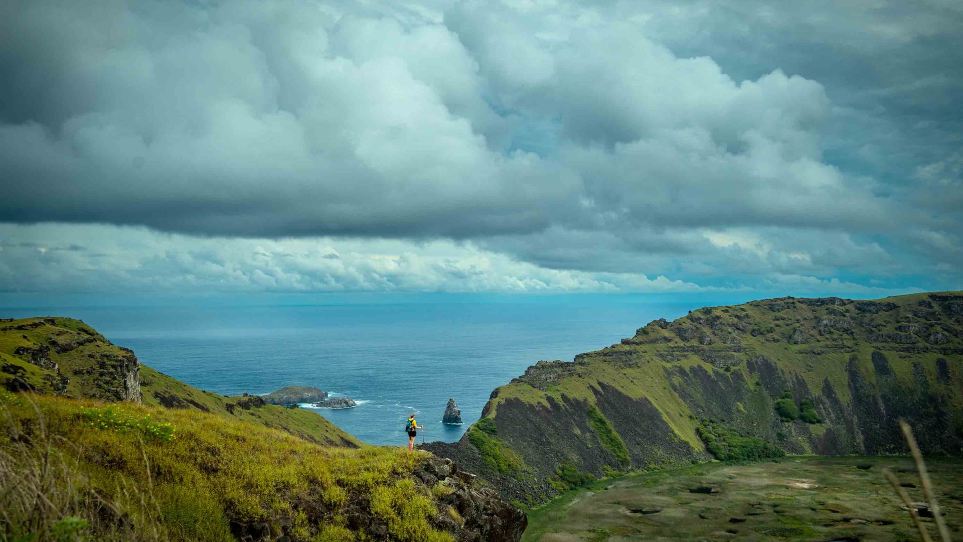 A hiker looks out over the sea from green hills.