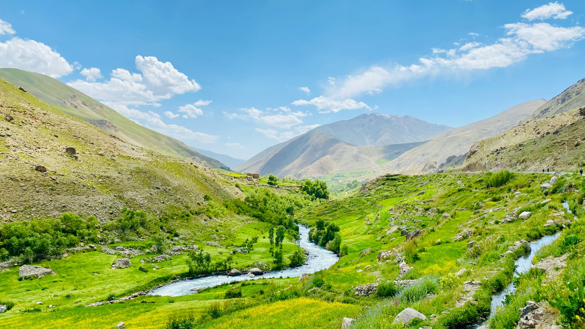 Green expanse with blue rivers.