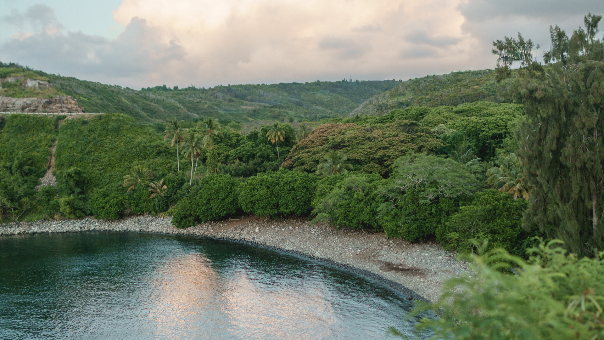 A half-moon cove with pebbled beach and green forest.