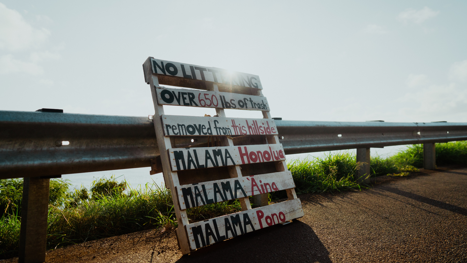 Sign reads 'No Littering. Over 650 lbs of trash removed from the hillside.'
