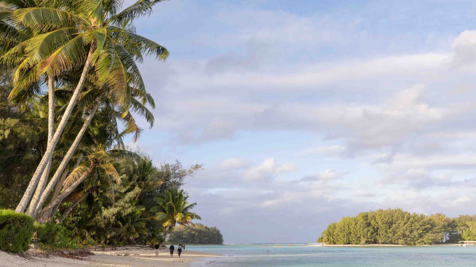 Three people walk along an otherwise empty beach surrounded by palm trees.
