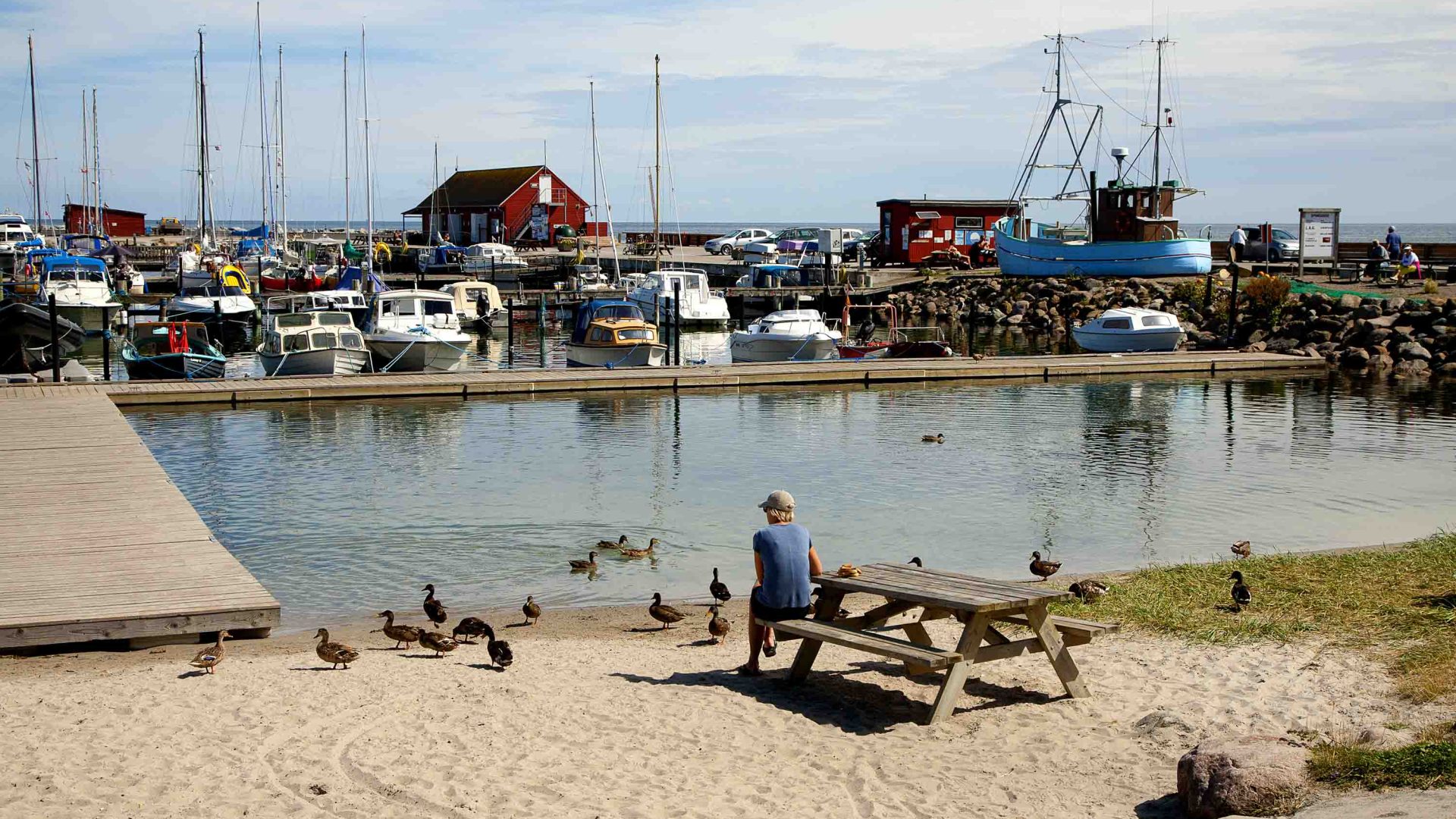 A person seated on a bench looks out at boats in a harbour.