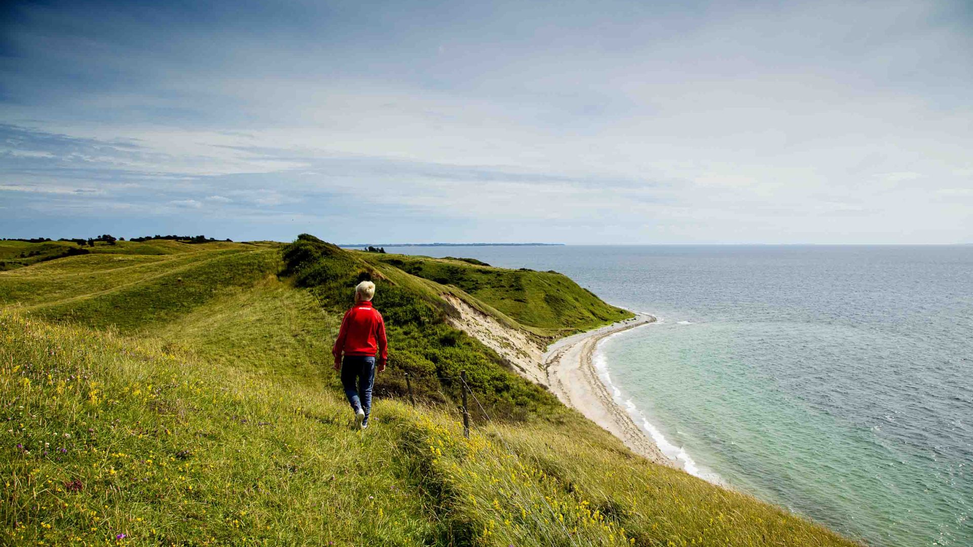 This Danish island became carbon-negative in under a decade. Now locals are building a reef to bring back marine life