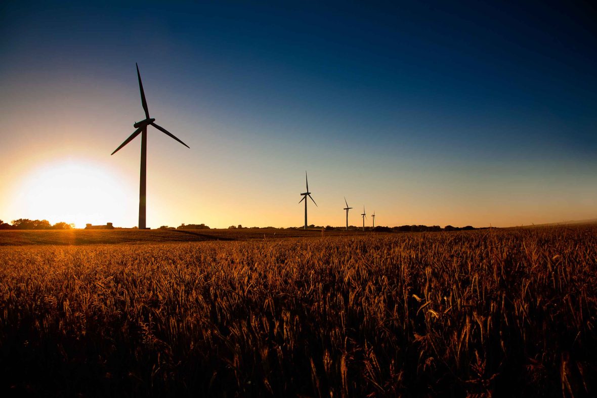 This Danish island became carbon-negative in under a decade. Now locals are building a reef to bring back marine life