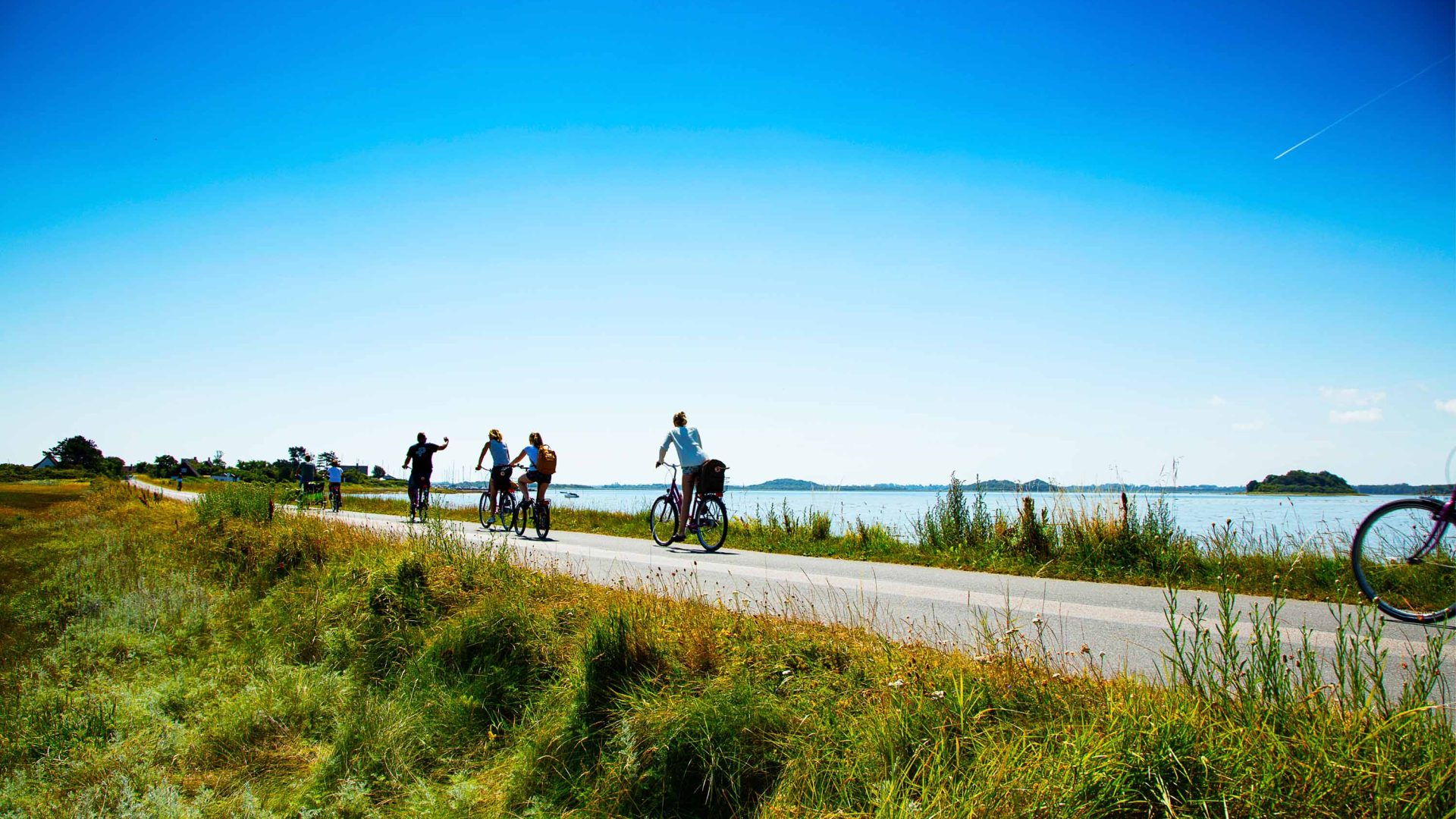 This Danish island became carbon-negative in under a decade. Now locals are building a reef to bring back marine life