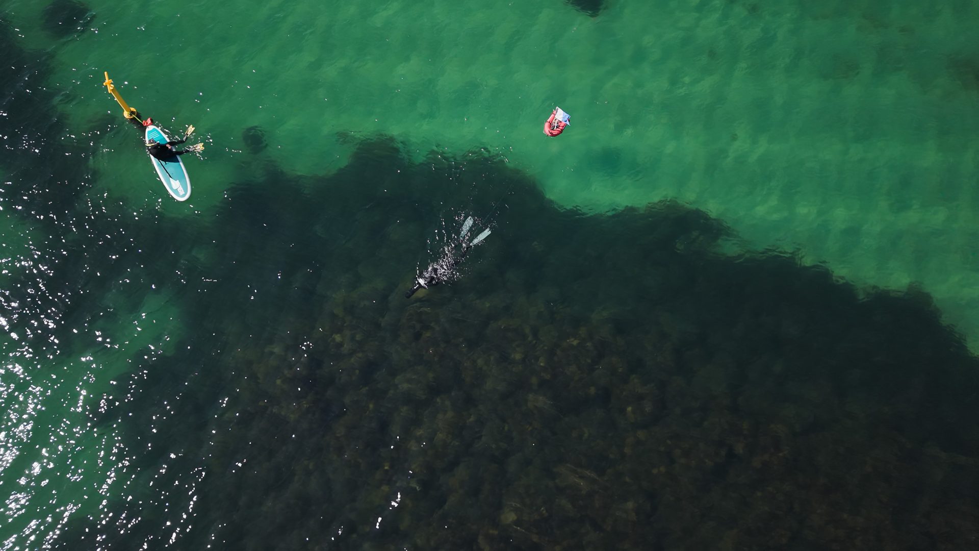 A drone photo of a paddle boarder and snorkeler seen at a reef.