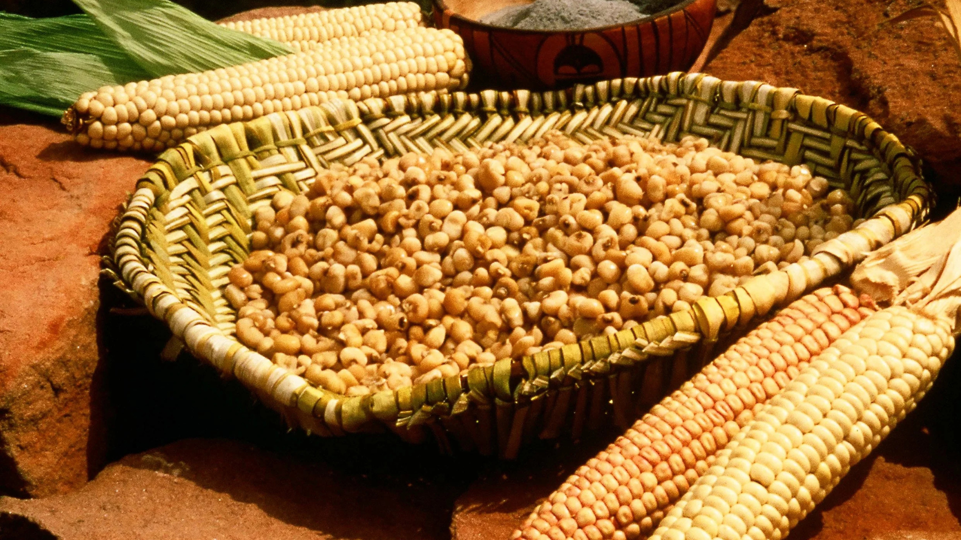 Yellow corn