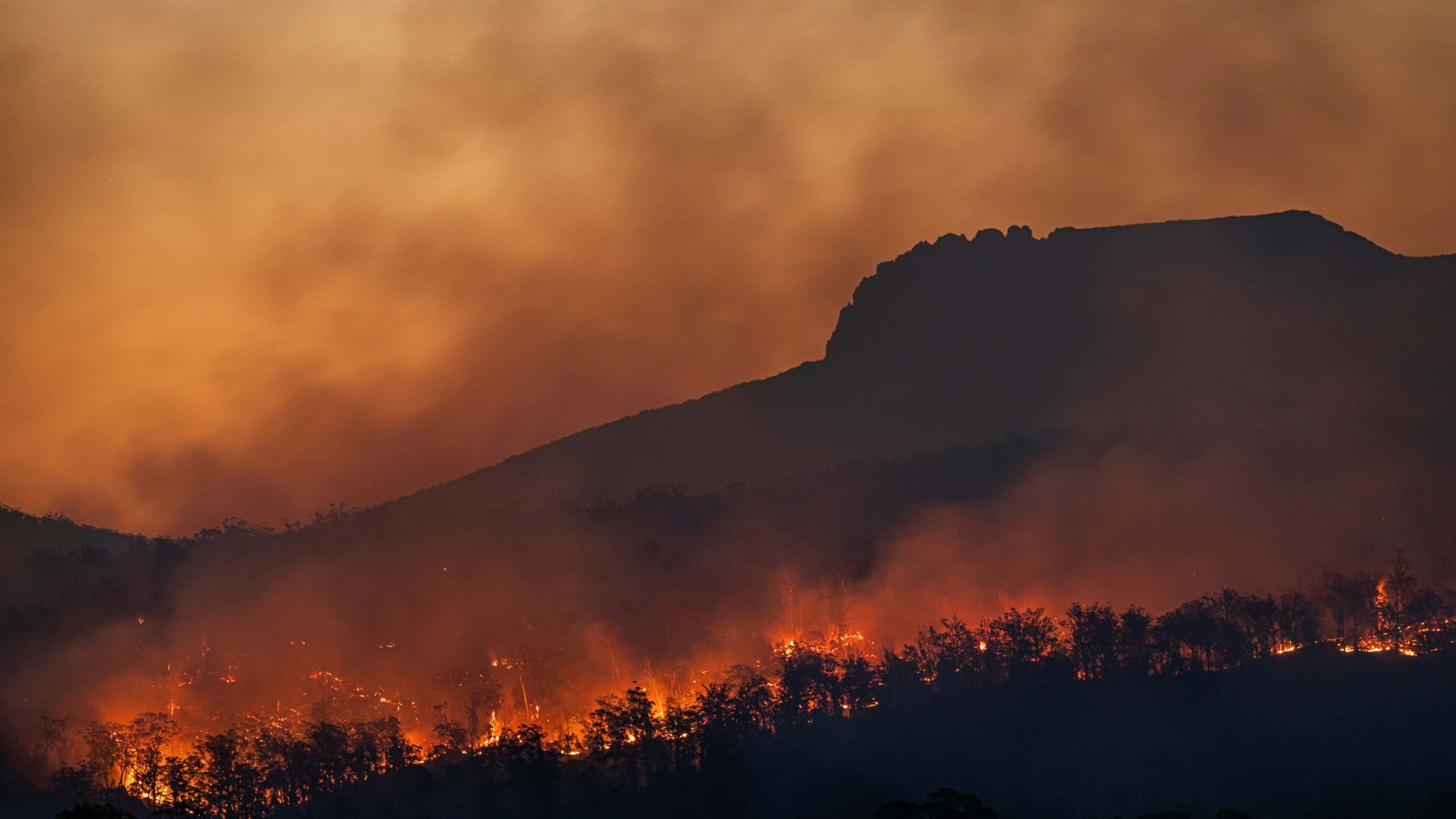 Wildfires burn a mountain of trees.