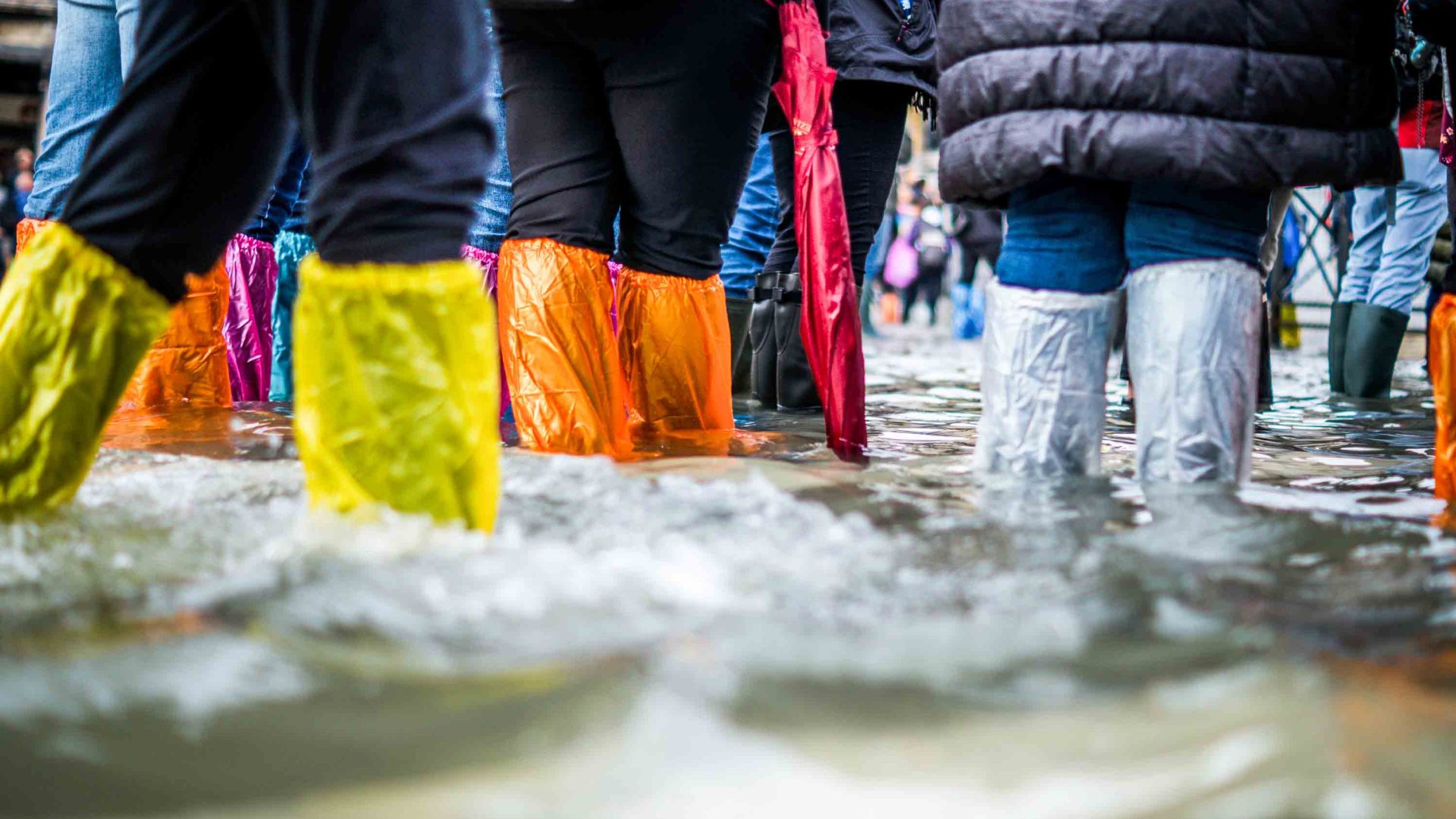 A number of peoples legs in protective rain covers for their shoes in brown water.