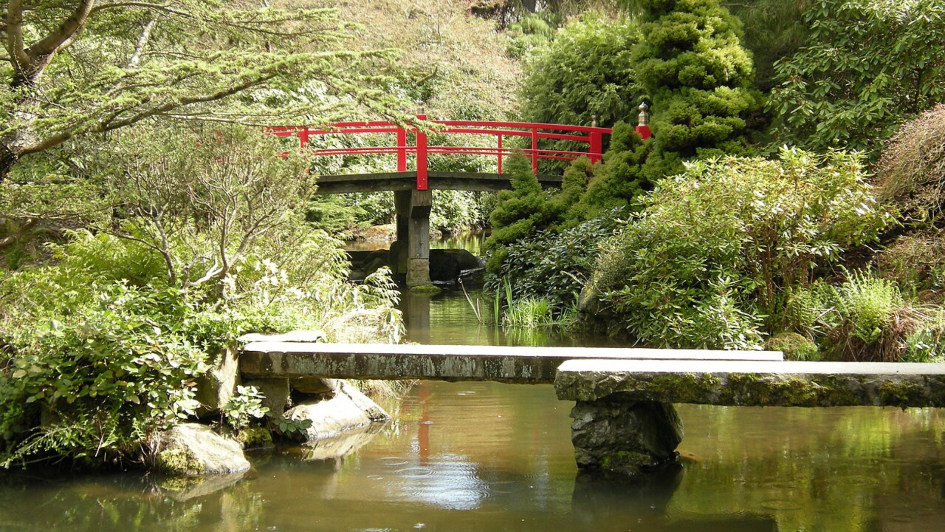 Green garden, lake with red footbridge