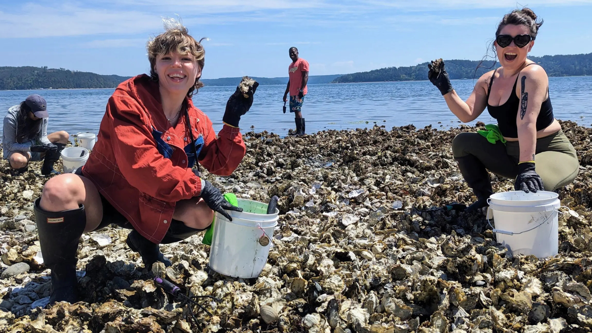 Two women on rocky beach harvesting seafood