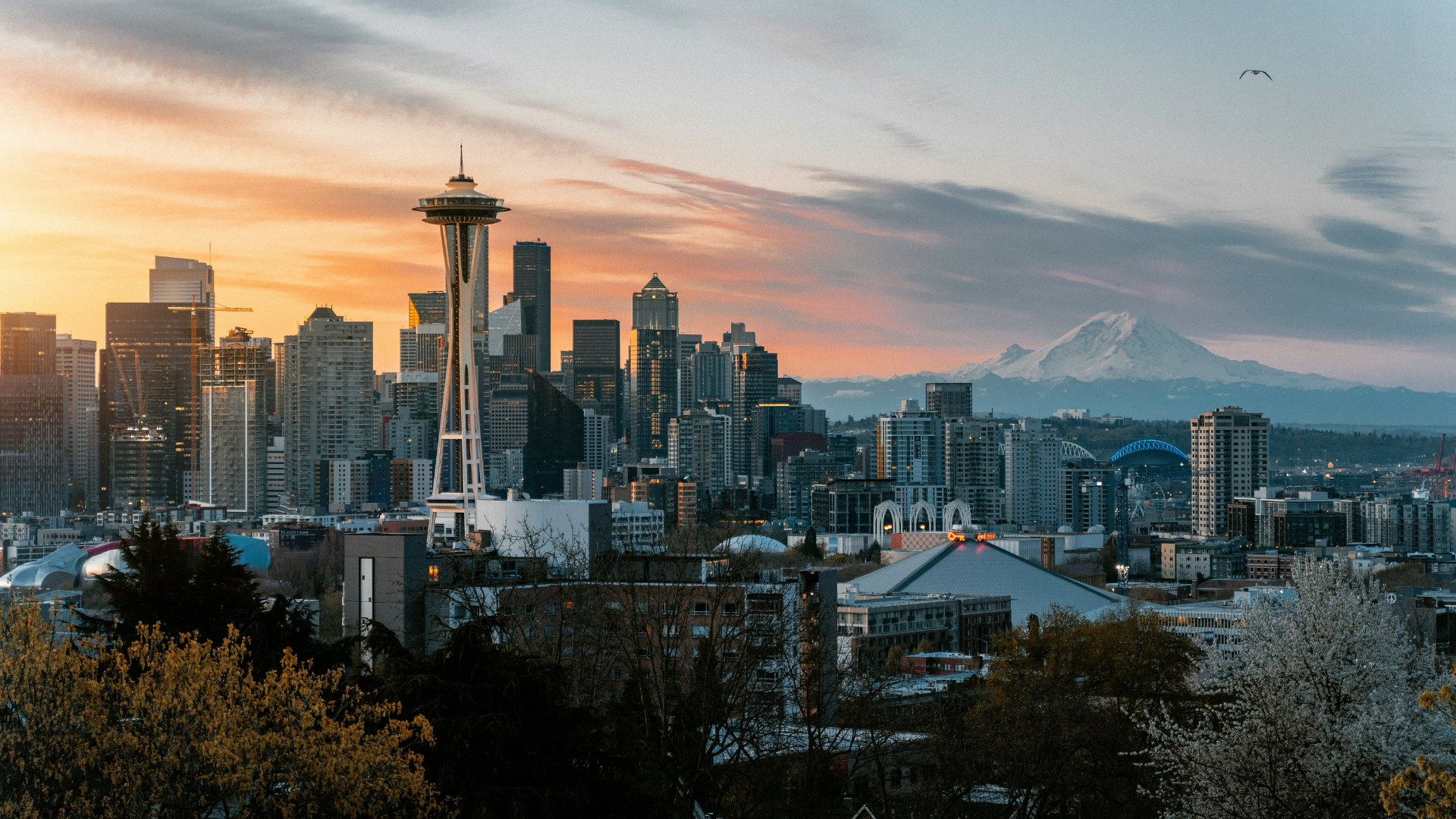 Skyline with snow-capped mountain in background