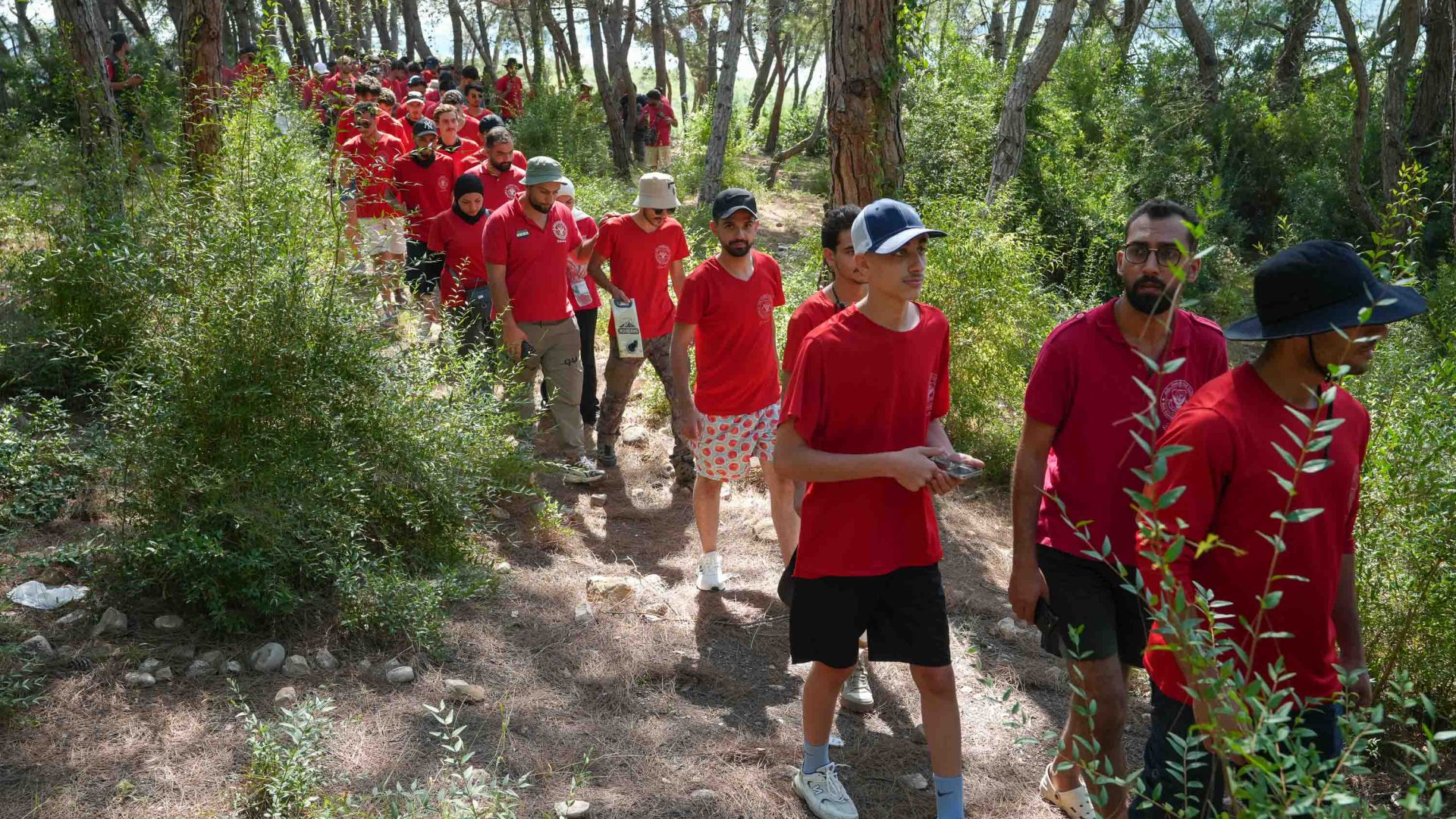 A number of hikers in red t shirts walk a trail of trees.