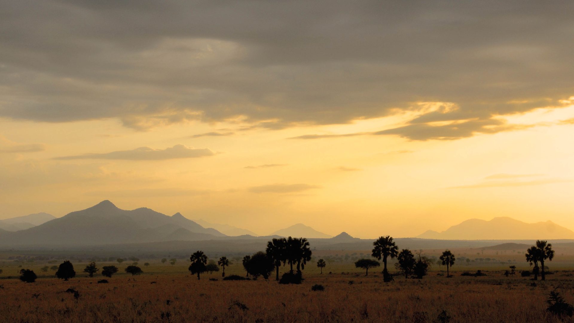 A sunset over trees and a mountain.