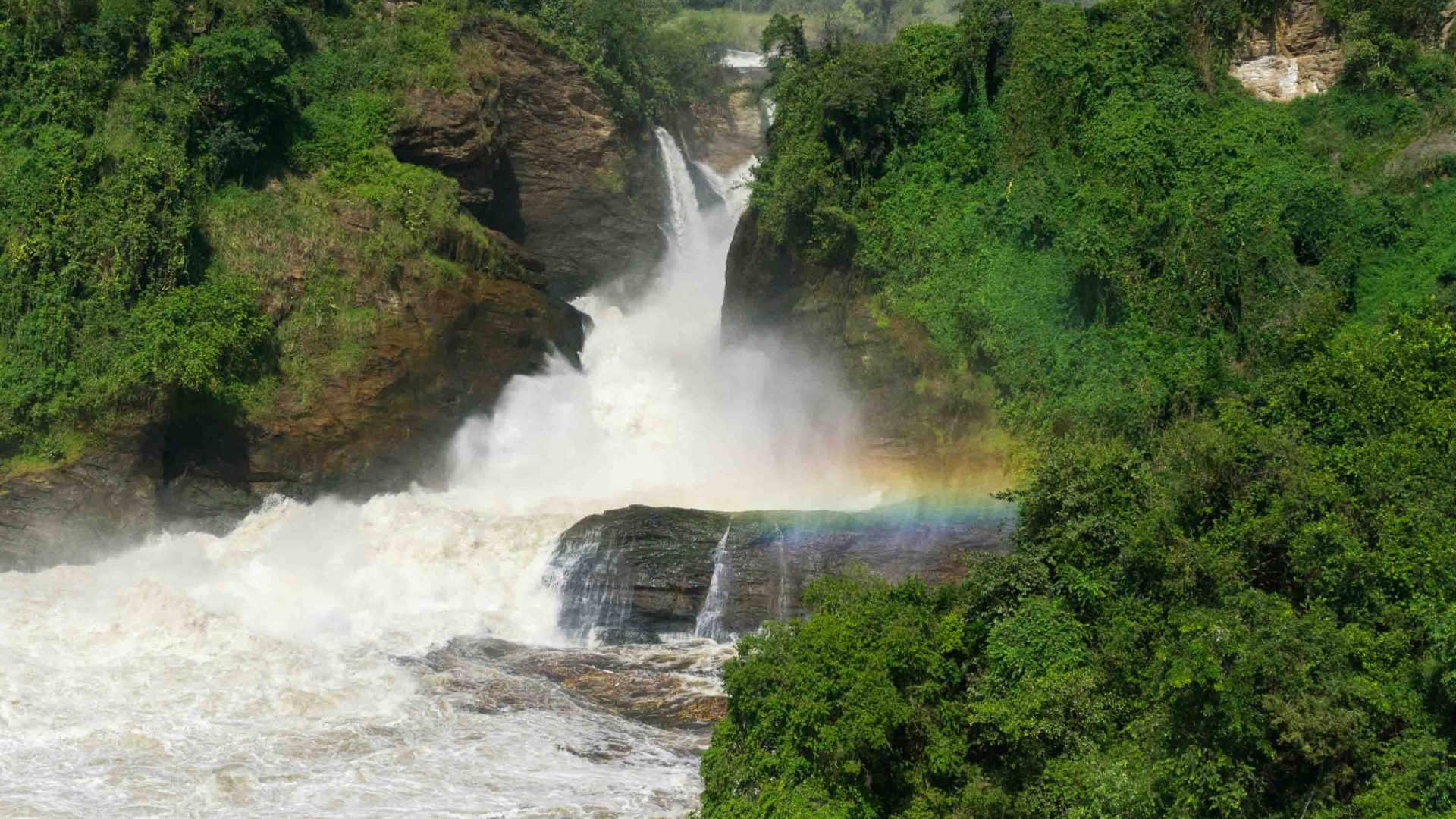 A waterfall with a lot of water tumbles through green trees.